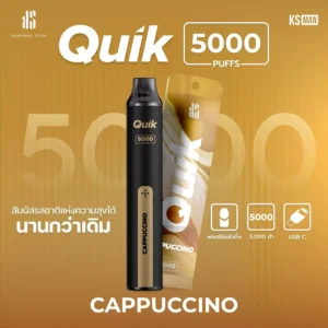 ks quik 5000 cappuccino